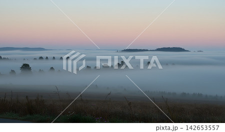 幻想的な霧に包まれた自然の風景 幻想的な霧に包まれた自然の風景 142653557