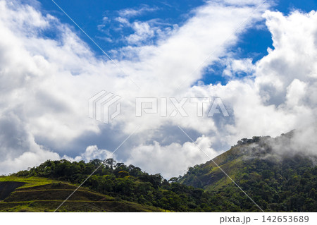 Tropical mountain jungle forest trees clouds and blue sky Brazil. Tropical mountain jungle forest trees clouds and blue sky Brazil. 142653689