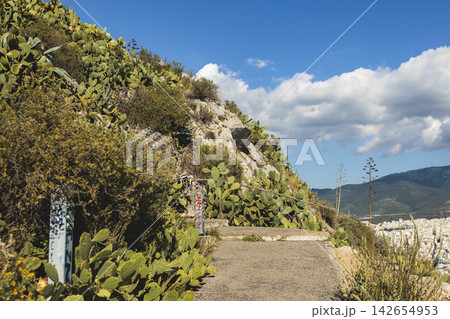 Mount Lycabettus, Athens, Greece, hiking and climbing to Lycabettos hill and Holy Church of Saint George of Lycabettus, Attica, Athens cityscape panorama view in sunny day, Lykavittos Greek landscape Mount Lycabettus, Athens, Greece, hiking and climbing to Lycabettos hill and Holy Church of Saint George of Lycabettus, Attica, Athens cityscape panorama view in sunny day, Lykavittos Greek landscape 142654953