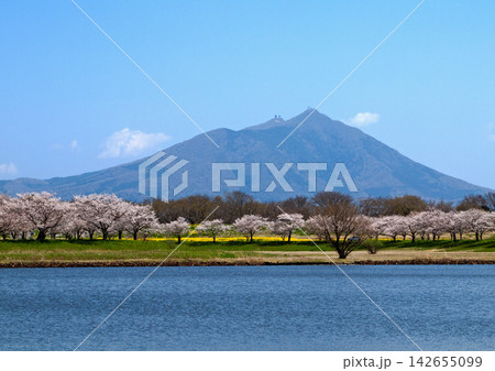 春の茨城県、筑波山。山とピンクの桜並木に黄色の菜の花、そして青いため池と空が印象的で綺麗だ。 春の茨城県、筑波山。山とピンクの桜並木に黄色の菜の花、そして青いため池と空が印象的で綺麗だ。 142655099