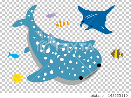 An illustration of a whale shark, manta ray, and tropical fish in the ocean. An illustration of a whale shark, manta ray, and tropical fish in the ocean. 142655110