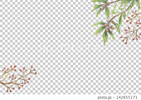 A watercolor painting of acorns and smilax, a background image of autumn plants. A watercolor painting of acorns and smilax, a background image of autumn plants. 142655171