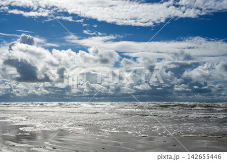 Dramatic Cloudscape Over Rough Baltic Sea with Sunlit Waves Along Windswept Sandy Beach Coastline Dramatic Cloudscape Over Rough Baltic Sea with Sunlit Waves Along Windswept Sandy Beach Coastline 142655446