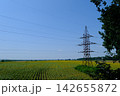 High Voltage Power Transmission Tower and Electricity Lines Crossing Large Agricultural Field in Rural Ukraine 142655872