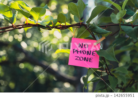 Paper note with NO PHONE ZONE message against green leafy background. Suitable for digital detox, screen-free lifestyle technology break mindfulness. Paper note with NO PHONE ZONE message against green leafy background. Suitable for digital detox, screen-free lifestyle technology break mindfulness. 142655951