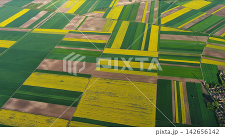 Agricultural fields with yellow rapeseed oil crops Agricultural fields with yellow rapeseed oil crops 142656142