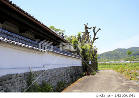 長閑な田園に建つお寺の外壁 長閑な田園に建つお寺の外壁 142656845
