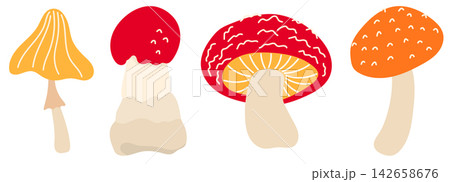 Typography book children with fall vector forest and eat. Mushroom education flat kids fantasy food edible plant oyster. King cute mystical witchy ground watercolor illustration collection. Typography book children with fall vector forest and eat. Mushroom education flat kids fantasy food edible plant oyster. King cute mystical witchy ground watercolor illustration collection. 142658676