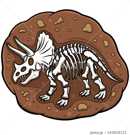 Triceratops Dinosaur Fossil Skeleton Triceratops Dinosaur Fossil Skeleton 142659151
