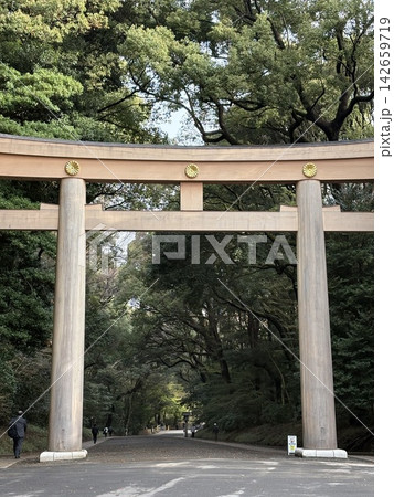 鳥居 142659719