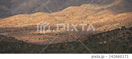 Landscape, countryside and mountain with nature or environmental friendly, summer and drought in Texas. Outdoor, adventure and jungle with global warming, dry and climate change with sustainability 142660171
