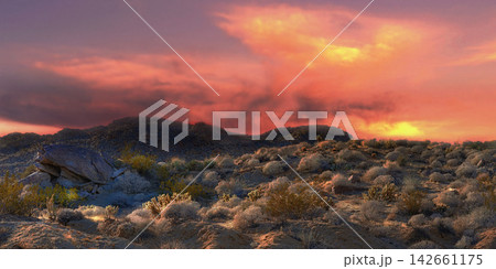 Sunset, nature and mountain with plants for travel, scenery and hiking trail in environment. Sustainable, agriculture and greenery on rocks in eco friendly and natural habitat in countryside. Sunset, nature and mountain with plants for travel, scenery and hiking trail in environment. Sustainable, agriculture and greenery on rocks in eco friendly and natural habitat in countryside. 142661175