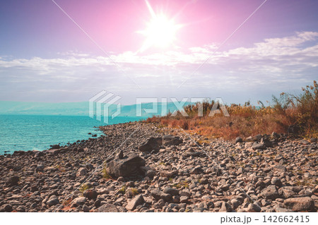 Rocky seascape. Seashore near Ein Eyov Waterfall in Tabgha. Sea of Galilee, Israel Rocky seascape. Seashore near Ein Eyov Waterfall in Tabgha. Sea of Galilee, Israel 142662415