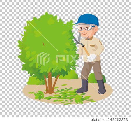 Pruning garden trees by a man (02) Pruning garden trees by a man (02) 142662838