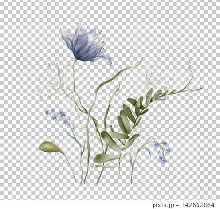 Watercolor illustration of delicate spring bouquet featuring blue blue forget-me-nots flowers and green leaves. Floral arrangement for printable digital wall art. Hand drawn on isolated background Watercolor illustration of delicate spring bouquet featuring blue blue forget-me-nots flowers and green leaves. Floral arrangement for printable digital wall art. Hand drawn on isolated background 142662864