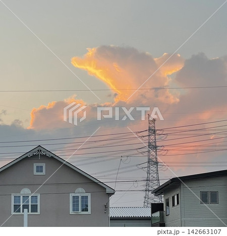 夕焼けの曇の中から飛び出すイルカ 夕焼けの曇の中から飛び出すイルカ 142663107
