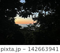 海 142663941