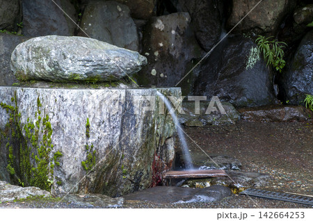 くずはの泉　神奈川県秦野市 142664253