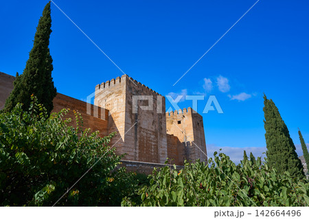 Alcazaba of Alhambra in Granada of Spain 142664496
