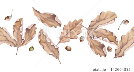 Flying autumn oak leaves in a seamless border. Isolated watercolor illustration for craft tea packaging, restaurant menus, scrapbooking, printing, interior design, farm products, cards, and notebooks. Flying autumn oak leaves in a seamless border. Isolated watercolor illustration for craft tea packaging, restaurant menus, scrapbooking, printing, interior design, farm products, cards, and notebooks. 142664855