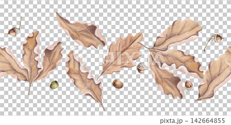 Flying autumn oak leaves in a seamless border. Isolated watercolor illustration for craft tea packaging, restaurant menus, scrapbooking, printing, interior design, farm products, cards, and notebooks. Flying autumn oak leaves in a seamless border. Isolated watercolor illustration for craft tea packaging, restaurant menus, scrapbooking, printing, interior design, farm products, cards, and notebooks. 142664855