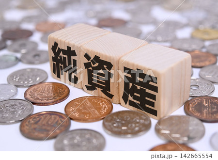 純資産と日本円の硬貨 純資産と日本円の硬貨 142665554