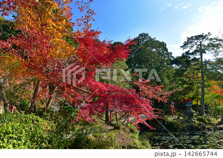 大原野神社 鯉沢池 大原野神社 鯉沢池 142665744