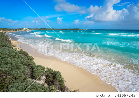 Cozumel island El Mirador beach in Mexico 142667245