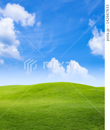 緑の草原と青空 142667633