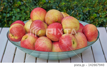 Red apples, bowl and outdoor with nutrition for wellness, healthy snack and treat with produce and harvest. Organic, fruit and growth with nature and diet plan with fiber and protein with vitamins Red apples, bowl and outdoor with nutrition for wellness, healthy snack and treat with produce and harvest. Organic, fruit and growth with nature and diet plan with fiber and protein with vitamins 142667940