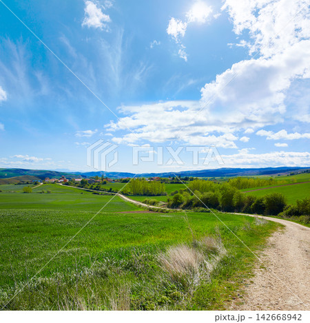 Cereal fields by The Way of Saint James in Castilla 142668942