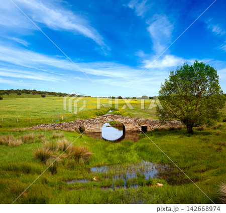 Bridge over Salor river in Via de la Plata way 142668974