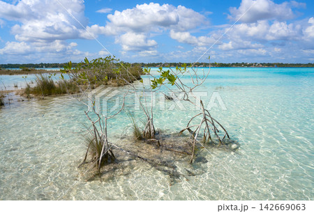 Laguna de Bacalar Lagoon in Mayan Mexico 142669063
