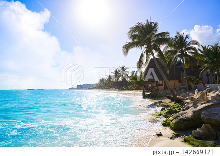 Playa del Carmen beach palm trees Mexico 142669121