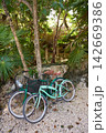 Tulum bicycles in Riviera Maya jungle 142669386