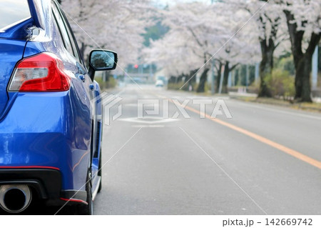 さくらと青い車 リア撮影 さくらと青い車 リア撮影 142669742