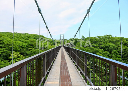 新緑にかかる橋 つつじ吊橋 栃木県那須町 新緑にかかる橋 つつじ吊橋 栃木県那須町 142670244