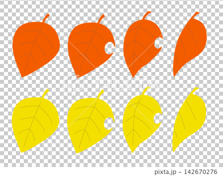 落ち葉のイラストセット 142670276