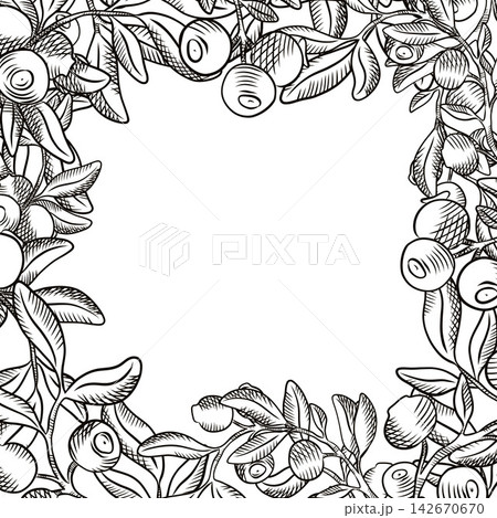 Vector frame with berries. Berries, strawberries, frame, blueberries, menus, packaging, labels, design Vector frame with berries. Berries, strawberries, frame, blueberries, menus, packaging, labels, design 142670670