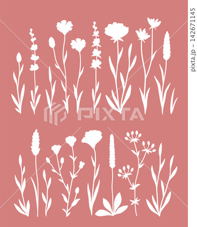 Botanical wildflowers bundle, flowers, floral decoration 142671145