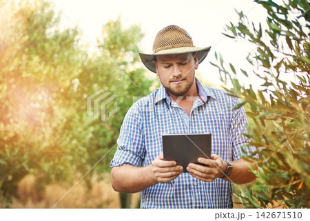 Inspection, farmer and man with tablet, agriculture and check quality of harvest, sustainability and countryside. Person, outdoor or guy with tech, plants or summer with vineyard or industry with app Inspection, farmer and man with tablet, agriculture and check quality of harvest, sustainability and countryside. Person, outdoor or guy with tech, plants or summer with vineyard or industry with app 142671510