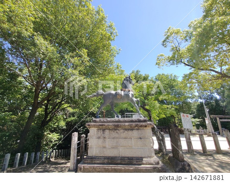 愛知県名古屋市守山区・八剱神社の狛犬と石段の参道、緑に囲まれた日本の神社風景 愛知県名古屋市守山区・八剱神社の狛犬と石段の参道、緑に囲まれた日本の神社風景 142671881