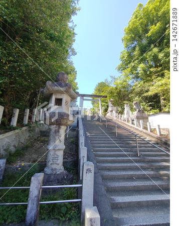 愛知県名古屋市守山区・八剱神社の狛犬と石段の参道、緑に囲まれた日本の神社風景 愛知県名古屋市守山区・八剱神社の狛犬と石段の参道、緑に囲まれた日本の神社風景 142671889