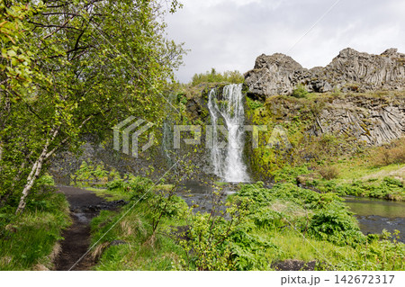 Gjarfoss waterfall framed by birch trees in Gjain within Thjorsardalur, Iceland 142672317