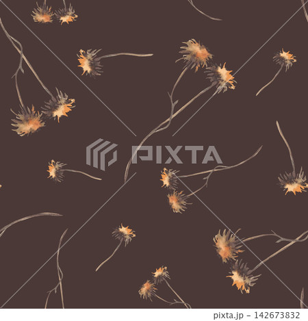 Watercolor Autumn dried wildflower, resembling thistle seamless botanical pattern. Realistic hand drawing illustration in boho style earthy brown, beige on isolated dark background design for fabric. 142673832