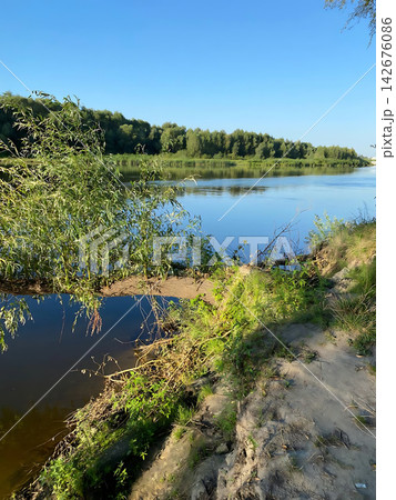 Picturesque summer landscape: a wide river with clear water, green trees on the opposite bank 142676086