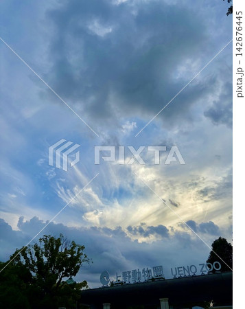 夕暮れ時の空 夕暮れ時の空 142676445