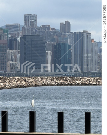 Panoramic view of Hong Kong city skyline and Victoria Harbour with modern skyscrapers under a bright daylight sky 142677009