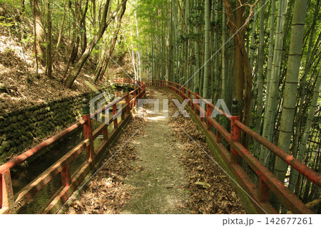 愛媛県松山市 湧ヶ淵公園 遊歩道 愛媛県松山市 湧ヶ淵公園 遊歩道 142677261