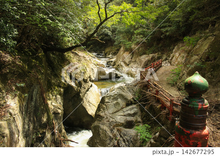 愛媛県松山市　湧ヶ淵の風景 142677295